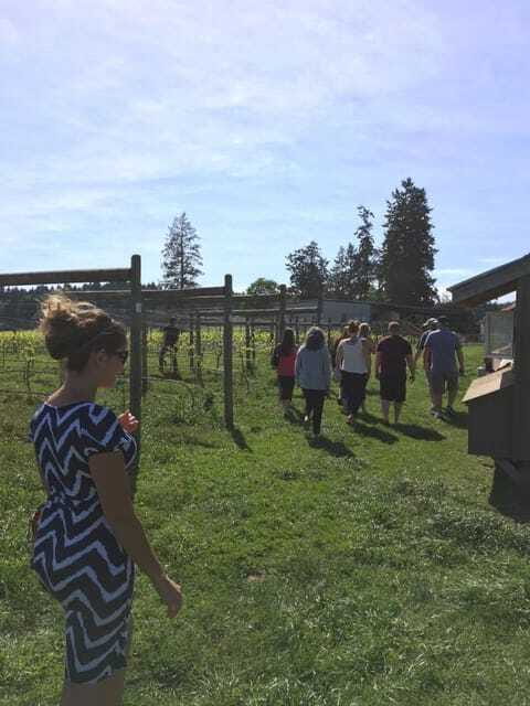 6-Hour Victoria to Cowichan Wine Tour - Price and value: does $127 make sense for this day?