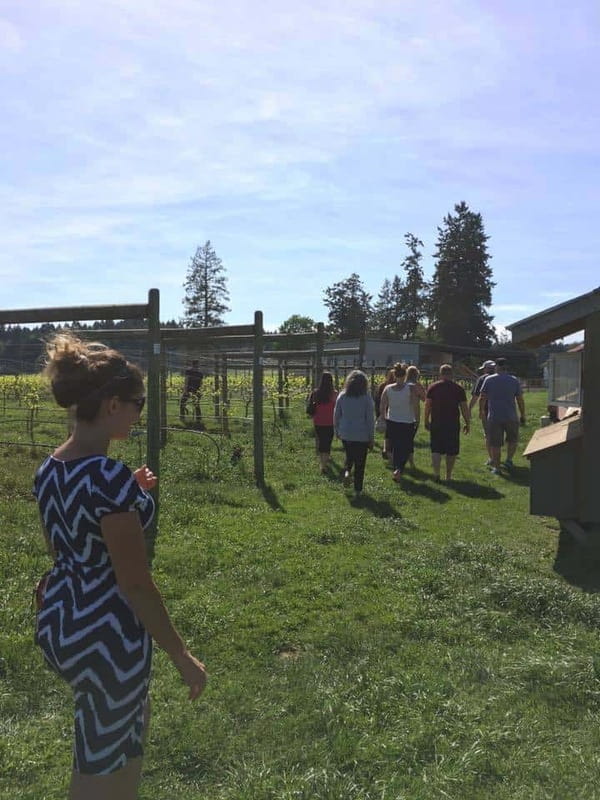 6-Hour Victoria to Cowichan Wine Tour - Entering Victoria’s wine day from the Fairmont Empress pickup zone