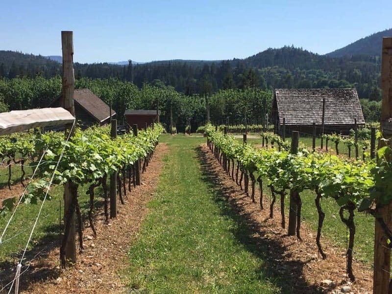 6-Hour Victoria to Cowichan Wine Tour - Private tastings in a small group, and why it matters