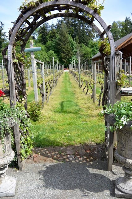 6-Hour Victoria to Cowichan Wine Tour - Blue Grouse: your mid-day tasting break with time to reset