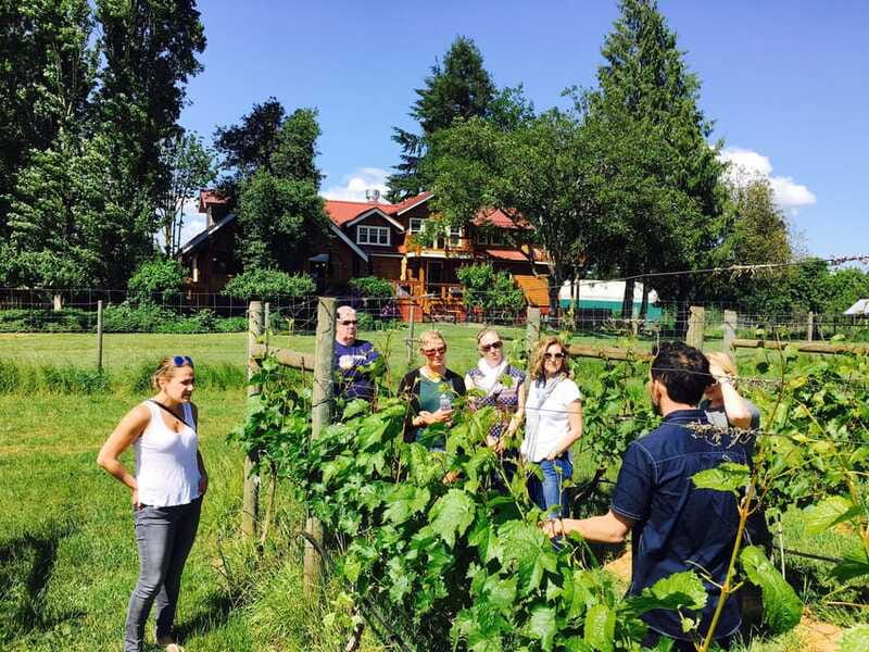 6-Hour Victoria to Cowichan Wine Tour - Unsworth behind the scenes: vineyard or bottling time