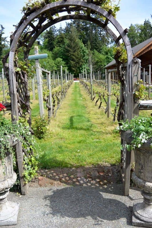 6-Hour Victoria to Cowichan Wine Tour - The drive experience: what it’s like in a 14 passenger van