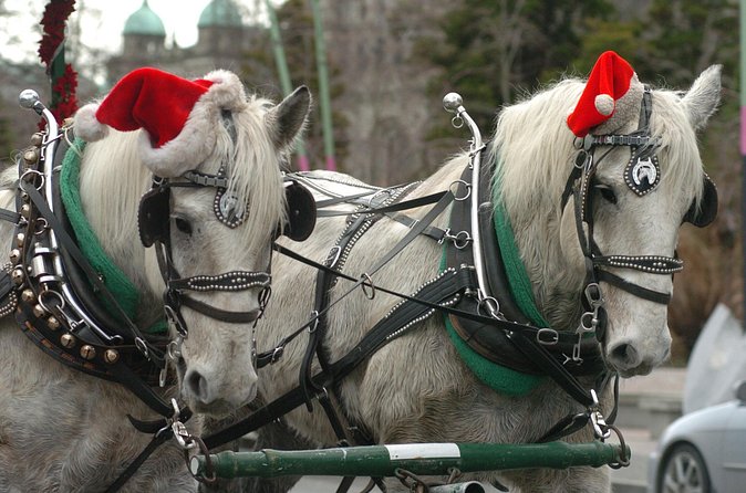 60-Minute Beacon Hill Park Tour - Why a 60-minute carriage loop is smart in Victoria
