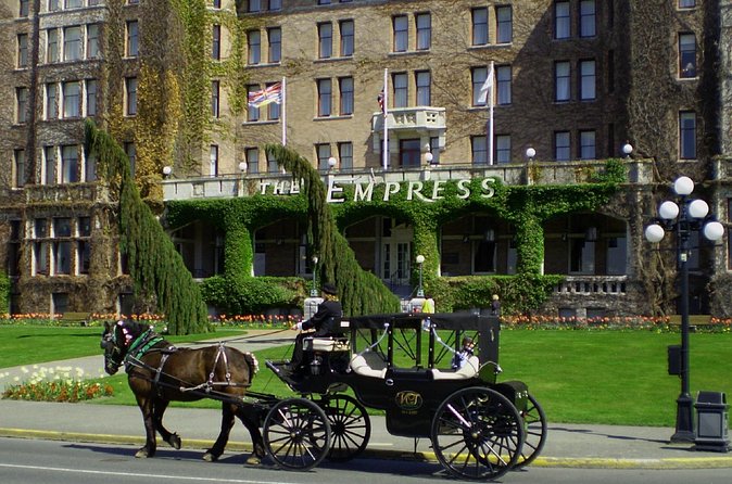 60-Minute Beacon Hill Park Tour - Price and value for a private group up to six