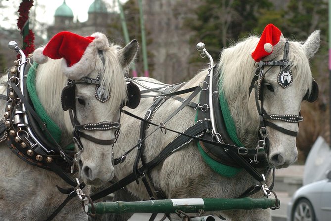 60-Minute Beacon Hill Park Tour - The Empress Hotel start: Inner Harbor first, then you roll