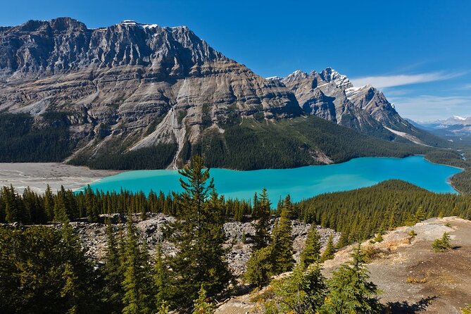 7 Days Canadian Rockies Camping Tour Package - Price and value: why this costs more, and where it earns it back