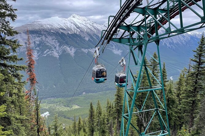 8 Iconic Stops. 12 Comfy Seats. See Banff's Best in First Class. - Peyto Lake, Bow Lake, and Crowfoot Glacier: Short Stops With Real Payoff