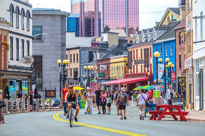 90 Minute Downtown St. John's Walking Tour Walking on Water - Harbourside Park: Settlement, Wartime Stories, and Two Dog Breeds