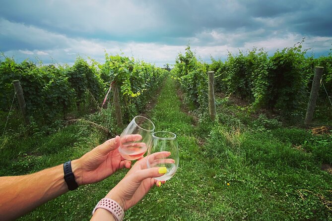 A Twilight Wine Adventure with 3-Course Dinner - Pickup in Niagara Falls or Niagara-on-the-Lake, Canada only (plan around it)