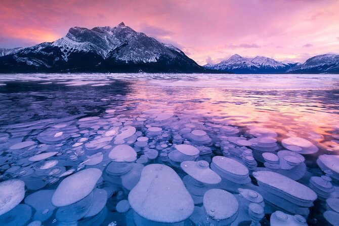 Abraham IceBubble, Peyto, Bow Lake with Snowshoeing& Icewalk - Key Things That Make This IceBubble Tour Worth It