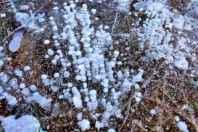 Abraham IceBubble, Peyto, Bow Lake with Snowshoeing& Icewalk - Safety Gear, Photo Help, and What Guides Actually Do