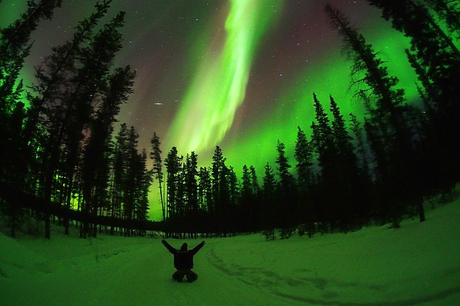 Active Winter Adventure in Yukon | 5 days - Whitehorse Base Camp: your starting point, hotel, and transport