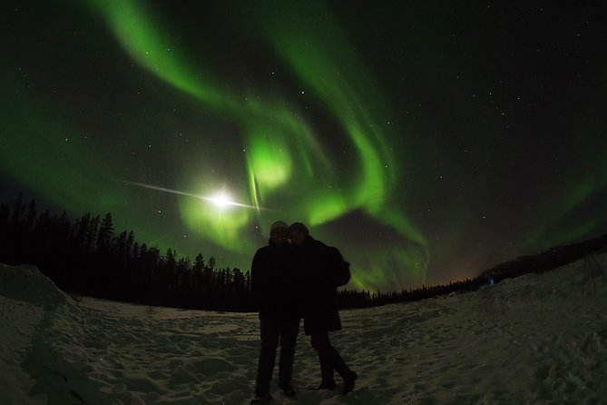 Active Winter Adventure in Yukon | 5 days - Day 2: flightseeing, Whitehorse sights, and close wildlife time