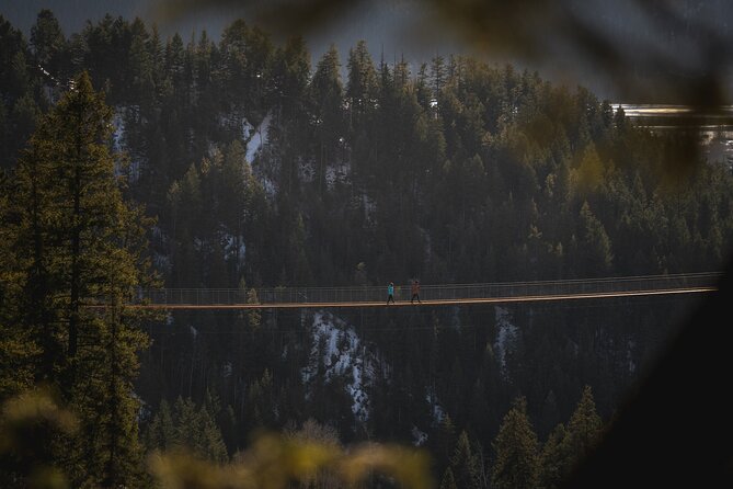 Admission Ticket to Golden Skybridge - Canyon Ridge Trails and Viewing Platforms: Built for Short, Scenic Stops