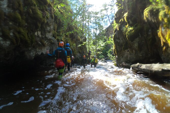 Adrenaline Canyoning Kelowna - Key highlights I’d circle before you book