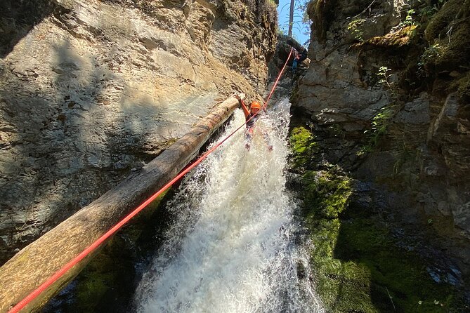 Adrenaline Canyoning Kelowna - Price and value: is $162.56 per person worth it?