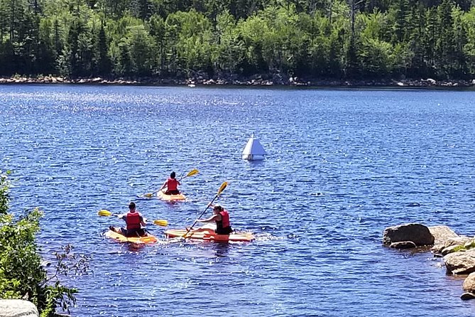 Adult Single Kayak Rental - Key Things I’d Focus On Before You Go