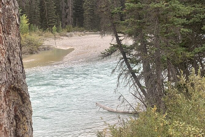 Airport Shuttle: Lake Louise <---> Calgary - The 3-Hour Charter Ride: Comfortable, Private, and Weather-Aware