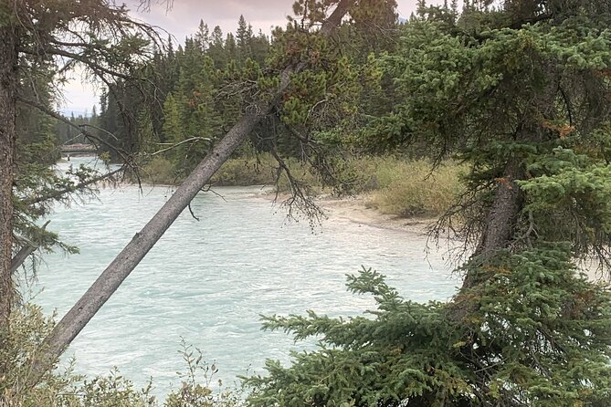 Airport Shuttle: Lake Louise <---> Calgary - A Quick Decision Checklist: Should You Book It?
