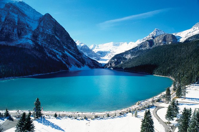 Airport Shuttle: Lake Louise <---> Calgary - Price and Value: What $392.42 Per Group Really Means