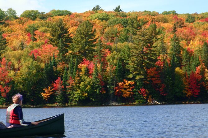 Algonquin Park 3-Day Deluxe Camping & Canoeing Adventure - Key things to know before you go