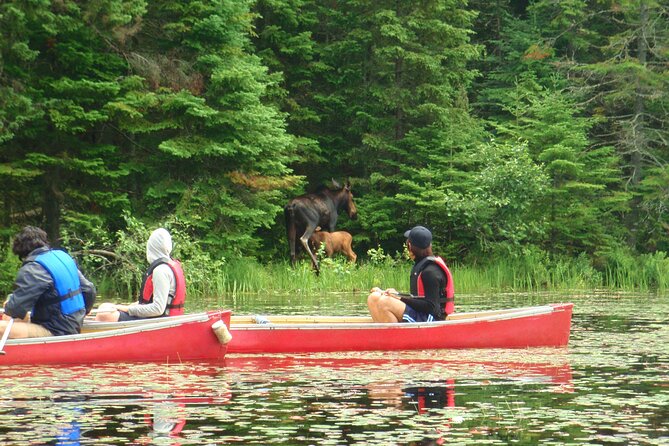 Algonquin Park 3-Day Deluxe Camping & Canoeing Adventure - Algonquin Provincial Park is built for a canoe camp, not a checklist