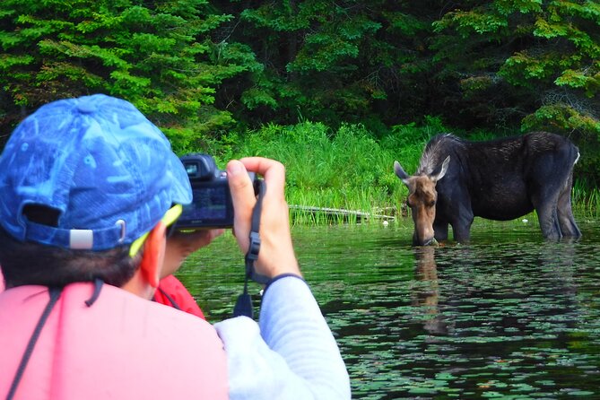 Algonquin Park 3-Day Deluxe Camping & Canoeing Adventure - Day 1 at camp: fire skills, wildlife lessons, and a night near beavers