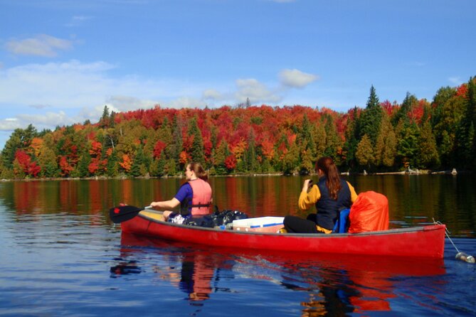 Algonquin Park 4-Day Deluxe Camping & Canoeing Adventure - Key Highlights You Will Feel On This Trip