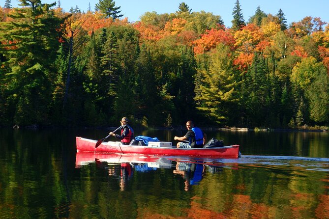 Algonquin Park 4-Day Deluxe Camping & Canoeing Adventure - Algonquin Backcountry, Real Paddling for 4 Days