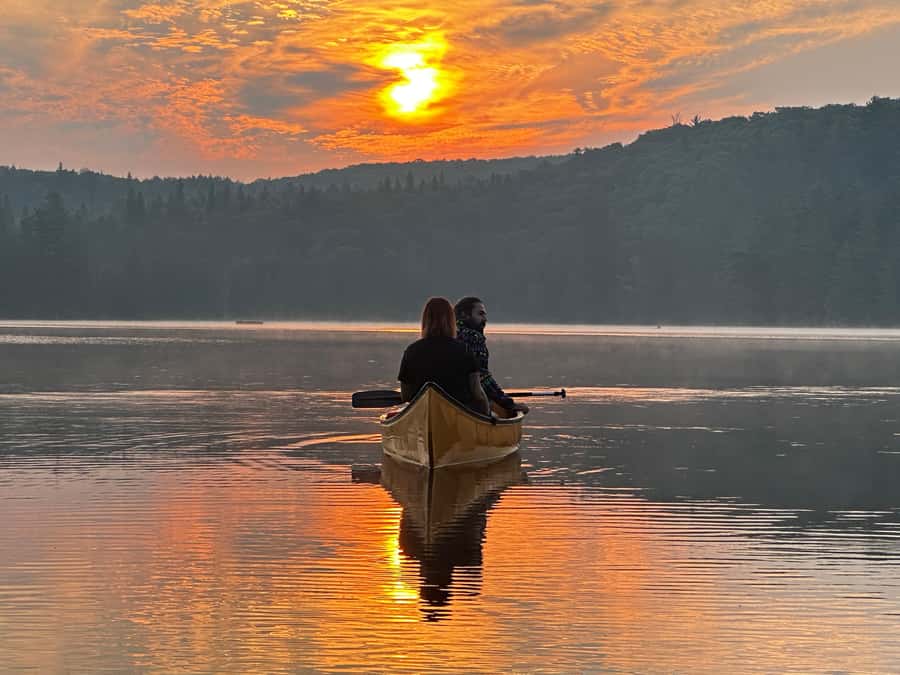 Algonquin Park: Deluxe 4-Day/3-night Canoeing/Camping - Wildlife expectations: what you can hope to see, and how to think about it