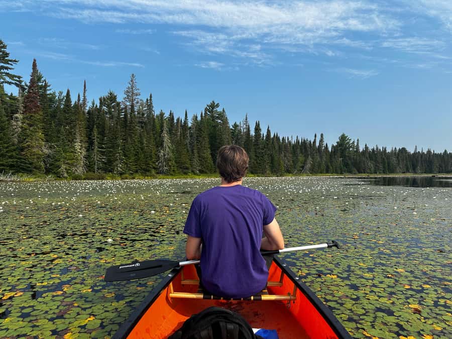 Algonquin Park: Deluxe 4-Day/3-night Canoeing/Camping - The campsite routine: wood cutting, jumping in (carefully), and being truly off-grid