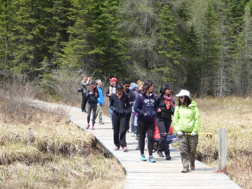 Algonquin Park Hiking: Adventure Tour from Toronto - Wildlife spotting: exciting, but not guaranteed