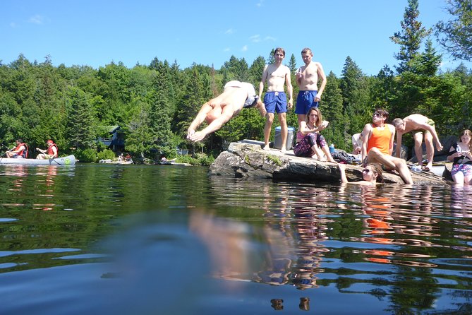 Algonquin Provincial Park Day Tour from Toronto - Key Things That Make This Tour Click