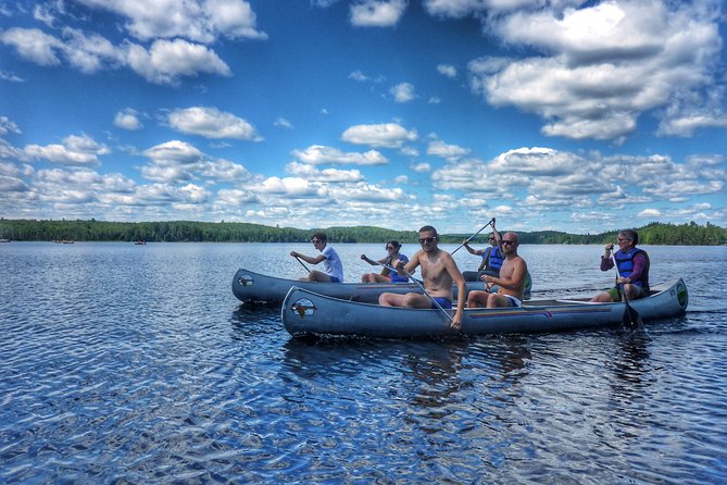Algonquin Provincial Park Day Tour from Toronto - Stop 4: Mizzy Lake Trail, The Long Stretch Where You Earn the Views