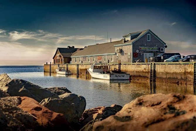 Amazing PEI Experience 5 passengers only - The Dunes Studio Gallery & Cafe: gardens and an observation deck stop