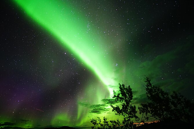 Arctic Day: Aurora Viewing Tour | late night - Warm drinks, snacks, and fire time that actually help