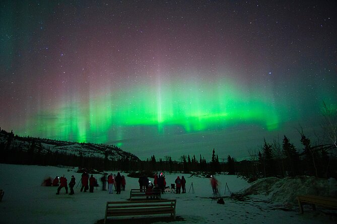 Arctic Day: Aurora Viewing Tour | late night - Guides and photographer support: what you should look for