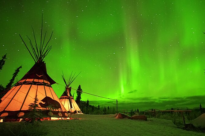 Arctic Day: Aurora Viewing Tour | late night - Price and value around $125.39 per person