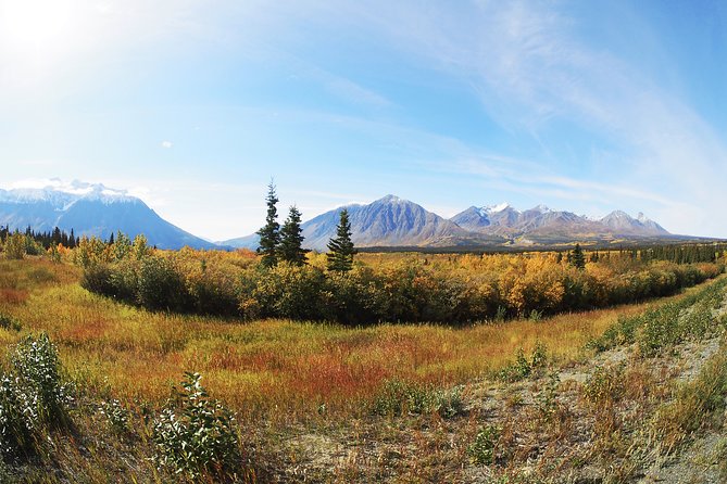 Arctic Day: Kluane National Park Tour | full day - Your day starts at Sternwheeler, then jumps into Kluane mode