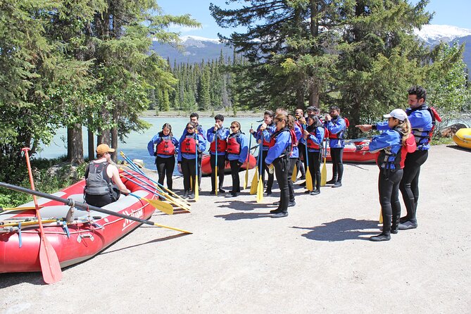 Athabasca Expressway Whitewater Rafting - Wildlife spotting on the Athabasca: when you should look up