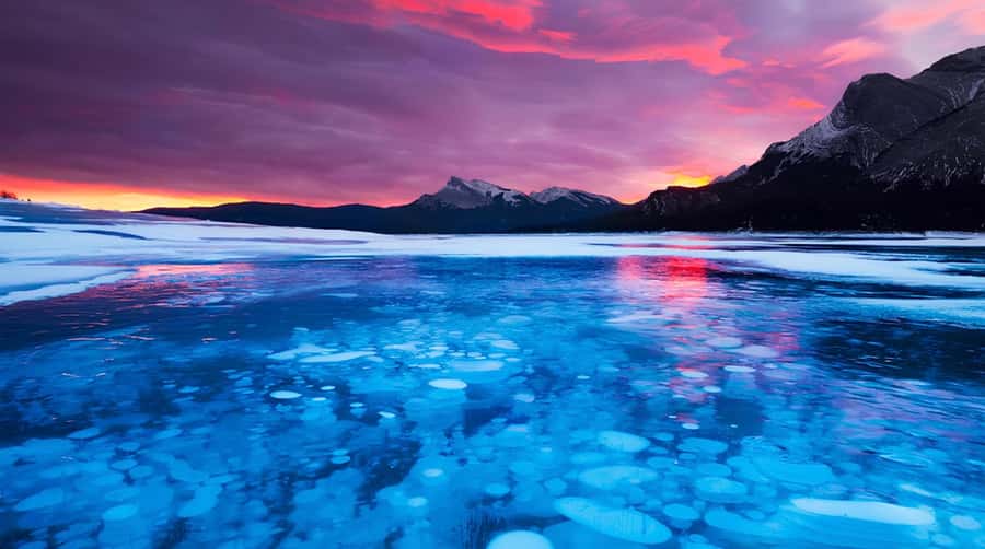 Athabasca Falls/Abraham,Sunwapta Falls, Icefield, Peyto Lake - Small-group tours, real guide interaction, and why names matter