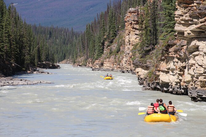 Athabasca Falls Run - 15 km of Athabasca Valley: rapids plus calm water you can actually enjoy