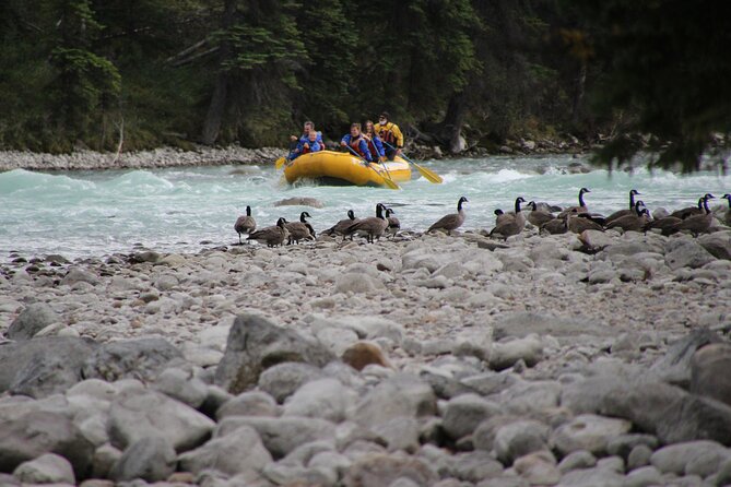 Athabasca River Mile 5 - Stop 2: Athabasca River time, Mile 5 rapids, and the views from the raft