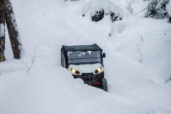 ATV Side by Side Guided 4x4 Tour - Where you ride: Labelle, Quebec, and forest dirt instead of sand dunes
