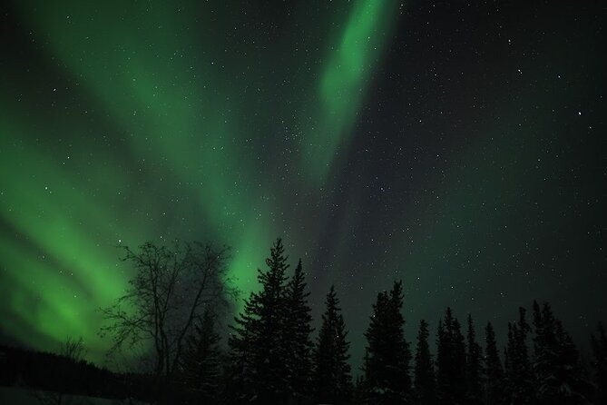 Aurora Chasing + Aurora Lodge - Pickup, Timing, And What 4 Hours Feels Like