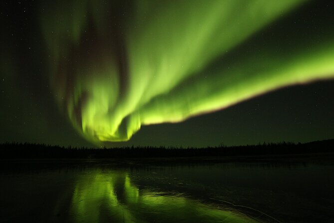 Aurora Hunting Tours - Price and Value: Is $134.43 Worth It?