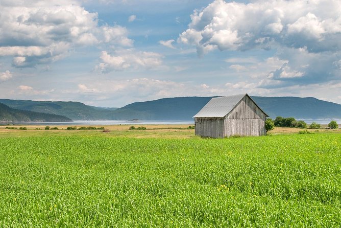 Back Country of the Fjord and the National Park - Price, Comfort, and What You Get for $134.44