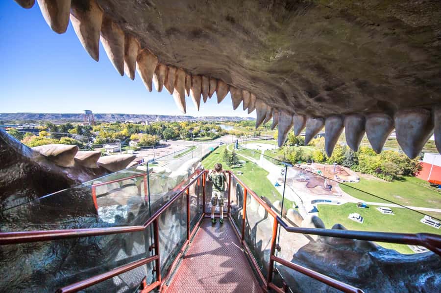Badlands Tour: Drumheller with Museum, Hoodoos & Coal Mine - Why Drumheller feels like another planet