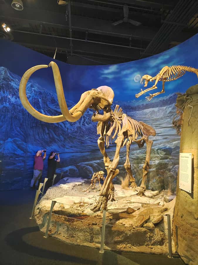 Badlands Tour: Drumheller with Museum, Hoodoos & Coal Mine - Horseshoe Canyon: where the canyon walls do the talking