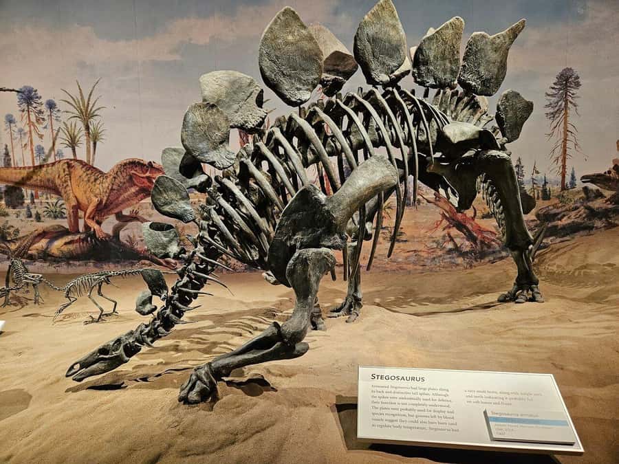 Badlands Tour: Drumheller with Museum, Hoodoos & Coal Mine - Drumheller town breaks: the 26-meter T-Rex and downtime that helps